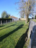 Photo n°4