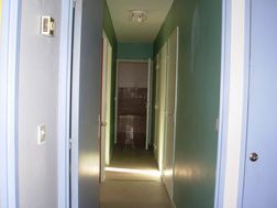 Photo n°6