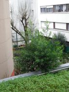 Photo n°1