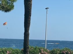 Photo n°1