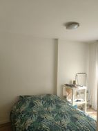 Photo n°5