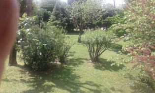 Photo n°1