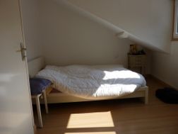 Photo n°3