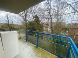 Photo n°4