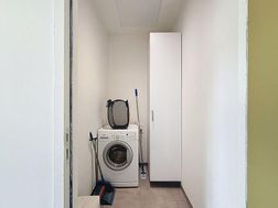 Photo n°6