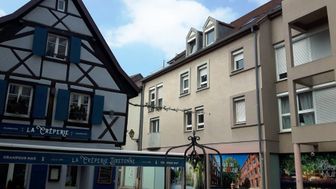Photo n°8