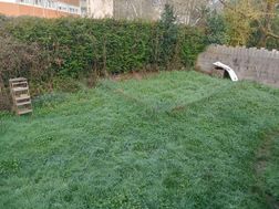 Photo n°6