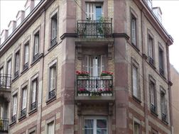 Photo n°5