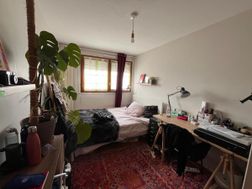 Photo n°6