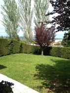 Photo n°2