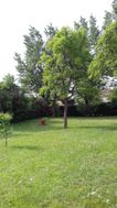 Photo n°2