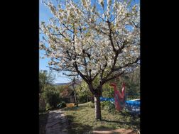 Photo n°6