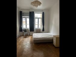 Photo n°6