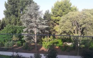 Photo n°2