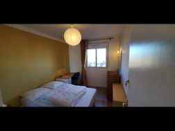 Photo n°3