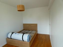 Photo n°8