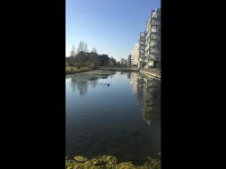 Photo n°6