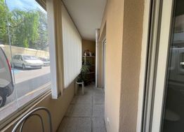 Photo n°6