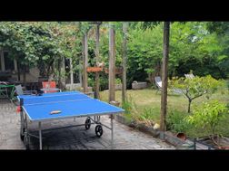 Photo n°2