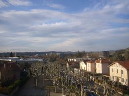 Photo n°5