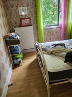 Photo n°2