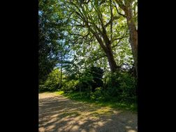 Photo n°3