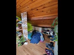 Photo n°3