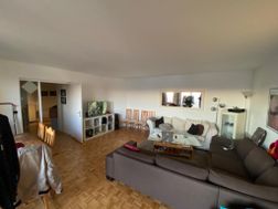 Photo n°3