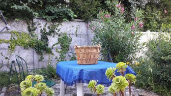 Photo n°2