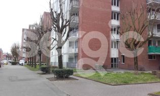 Photo n°4