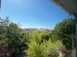 Photo n°6