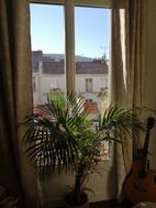 Photo n°4