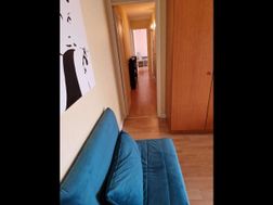 Photo n°5