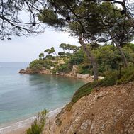Photo n°1