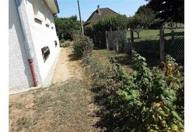 Photo n°8