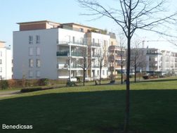 Photo n°8