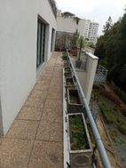 Photo n°4