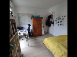 Photo n°14