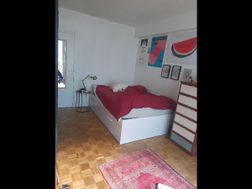 Photo n°3