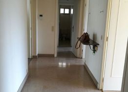 Photo n°6