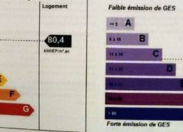 Photo n°16
