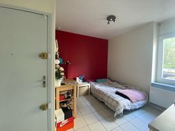 Photo n°2