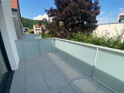 Photo n°4