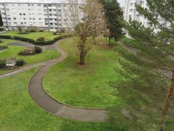 Photo n°6