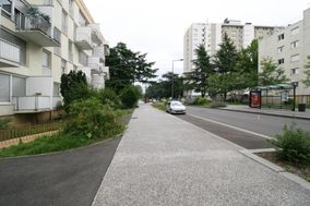 Photo n°8