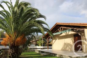 Photo n°1