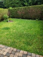 Photo n°2