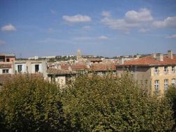 Photo n°7