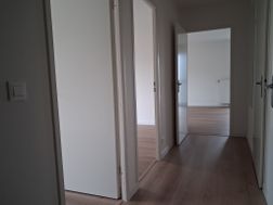 Photo n°5