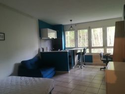 Photo n°1